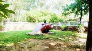 Read more about the article Top & Best Budha Jayanti Park in Delhi