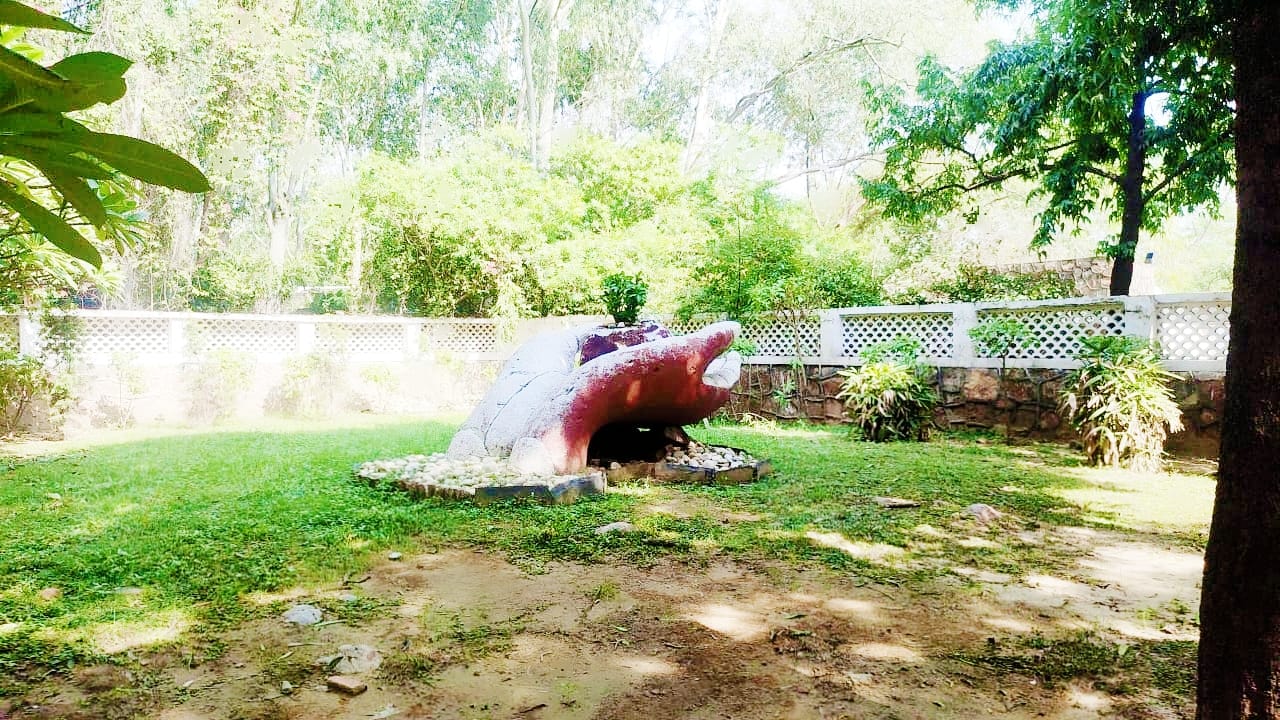 Read more about the article Top & Best Budha Jayanti Park in Delhi
