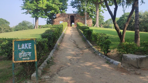 Read more about the article Top and Unique Best Park(Deer Park) in Delhi